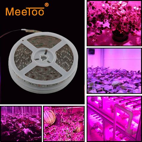 DIY LED Grow Light LED Strip 5M 300LEDs Full Spectrum Lighting for ...