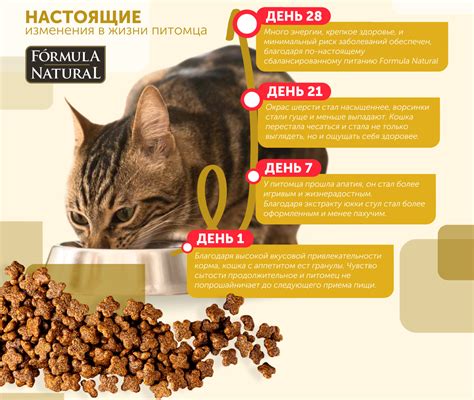 Сухой корм супер премиум для стерилизованных или кастрированных кошек и ...