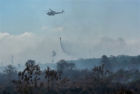 KLHK Gugat 20 Korporasi Terkait Kebakaran Hutan Dan Lahan Republika