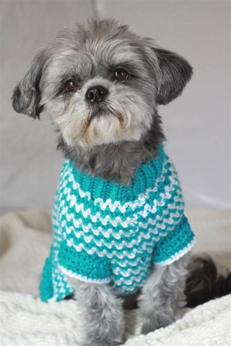 Small Dog Sweater Crochet Dog Sweater by FromMyHomespunHeart