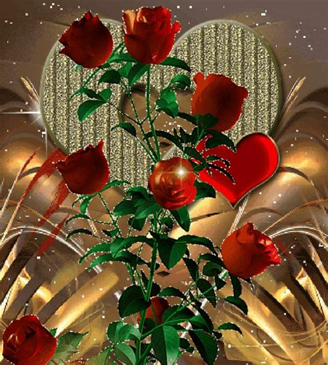 Beautiful Rose Flower Phone Wallpaper