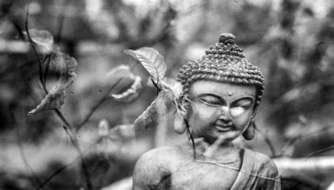 Article: The Journey: Buddhism and Shamanism at the Crossroads - Sacred ...