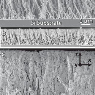 Xray Diffractograms Of Pbi Normal Deposited Sample Red And Green