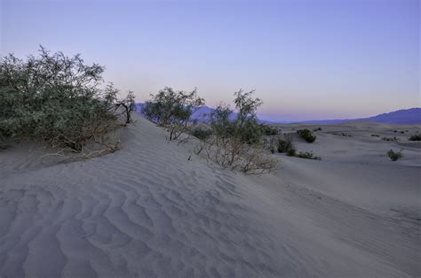 Sunrise Adventures at Death Valley National Park – GoGoTacoNegro