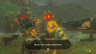 One Tears Of The Kingdom Player Is Documenting Every NPC S Reaction To Naked Link GamesRadar