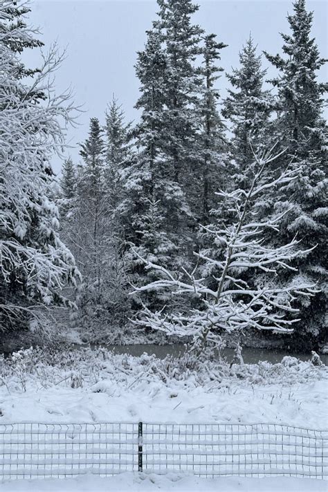 First Snow Day of the Season | Downeast Thunder Farm