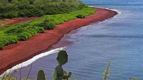 Isla Rabida