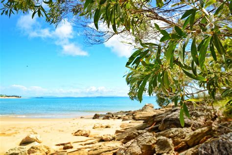 Great Keppel Island Snorkel Tour Lunch