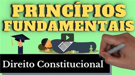 Princípios Fundamentais De Direito Constitucional Resumo Completo