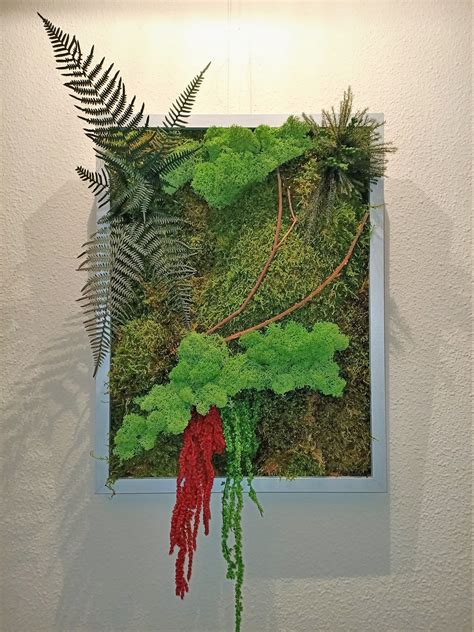 Jardin Vertical Cuadro De Musgo Preservado Cuadro Vivo Etsy Espa A