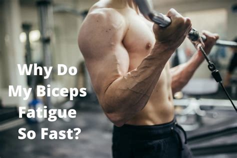 Why Do My Biceps Fatigue So Fast? (5 Things You Should Know) - My ...