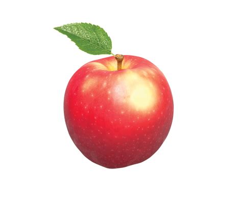 Breeze Apples New Zealands First Apple