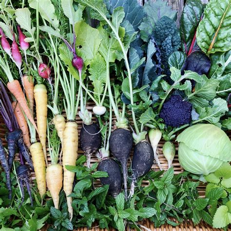 Sowing in Suburbia