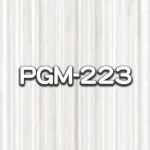 pgm  mcm