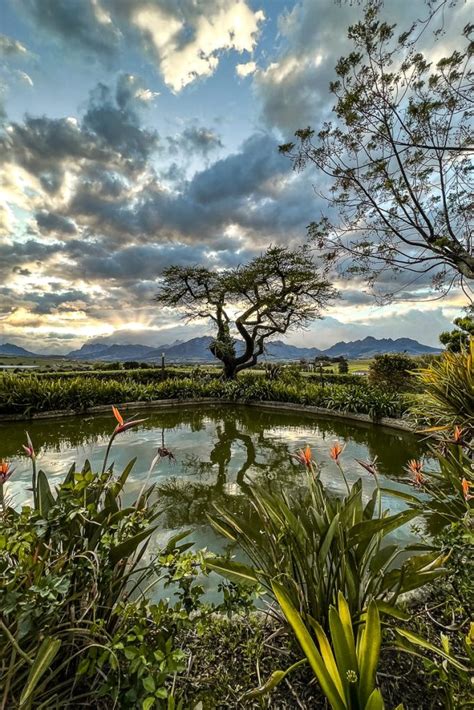 Franschhoek Wine Tram The Essential Guide Wanderlust Welsh