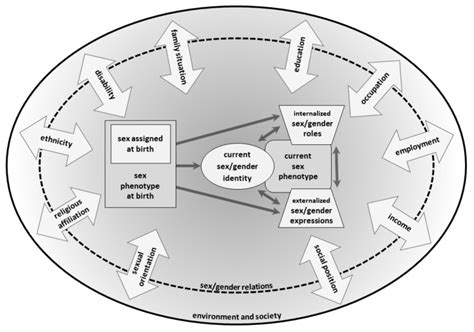 Integrating Sex Gender Into Environmental Health Research Development
