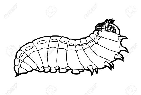 Clipart Caterpillar Butterfly 20 Free Cliparts Download Images On