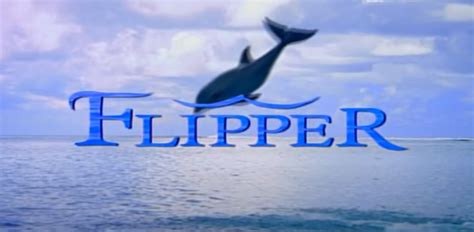 S5:E25 – Flipper 1995 – Season 1 Intro – Video Death Loop