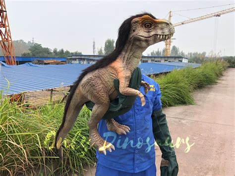 Lifelike False Arm Dinosaur Puppet For Sale Only Dinosaurs