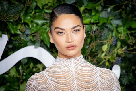 Shanina Shaik Flaunts Her Tits In A See Through Dress Photos Videos The Fappening