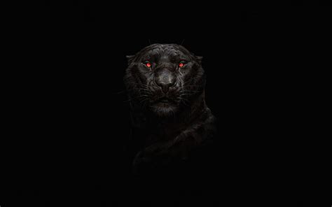 Black panther, predators, minimal, black backgrounds, panther, red eyes ...