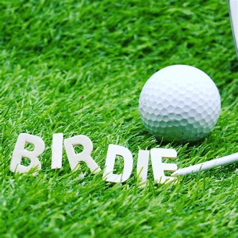 Birdie Golfbirdie Golfacademy Golfschool Golferlife Golf Academy