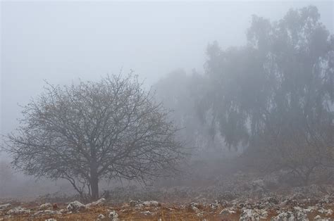 Foggy Weather-2: Molarjung: Galleries: Digital Photography Review