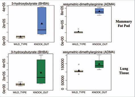 Figure From The Autophagic Tumor Stroma Model Of Cancer Role Of