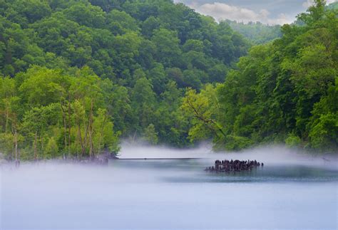 lake norris house rentals 4