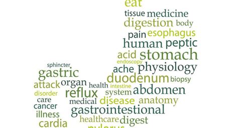 DIAGNOSTIC TESTS USED TO ANALYZE GASTROINTESTINAL DISORDERS