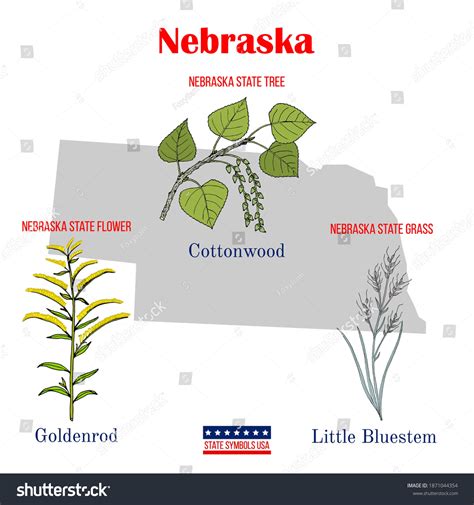 Nebraska Set Usa Official State Symbols Stock Vector (Royalty Free ...