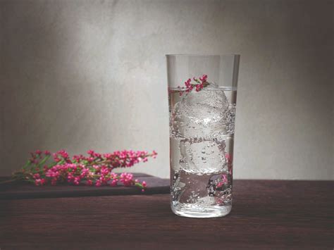 SAVAGE HIGHBALL Set Di Bicchieri Da Cocktail By NUDE