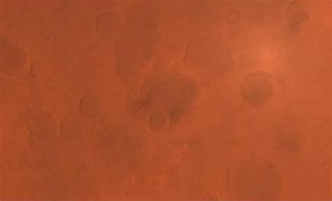 Mars Revealed in Stunning Detail: Tianwen-1 Unveils the Red Planet in ...