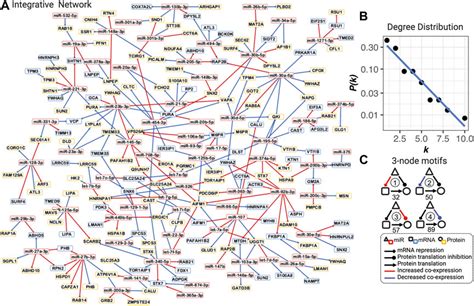 Frontiers Mirnamrnaprotein Dysregulated Network In Copd In Women