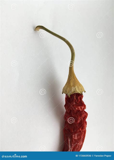 Long Wrinkled Red Hot Pepper Lying On A White Background Stock Photo