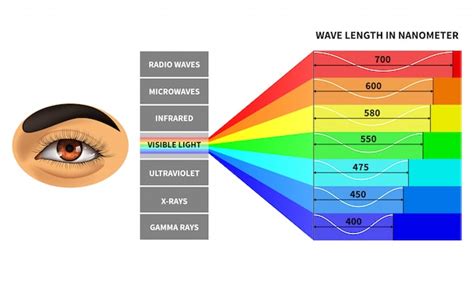 Visible light spectrum template | Premium Vector