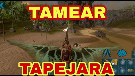 Como Tamear Un Tapejara Que Hacer Y Como Se Hace Ark Mobile