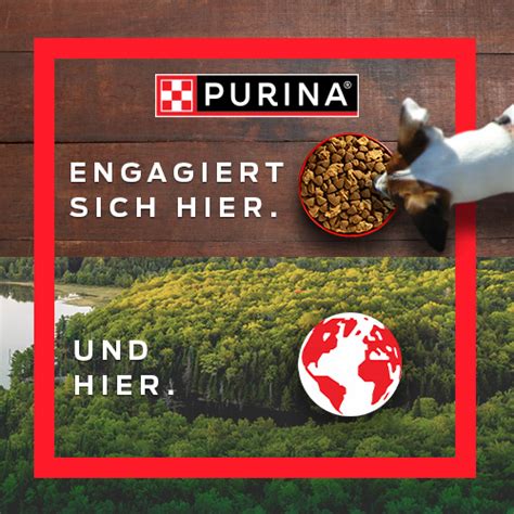 Entdecke Purina Beneful Hundefutter Komplett Ausgewogen