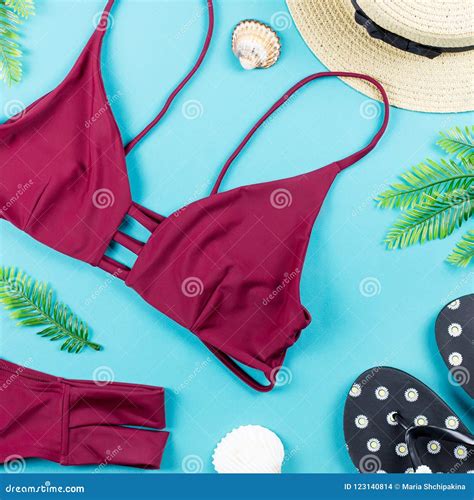 Fondo De Las Vacaciones De Verano Concepto Tropical Del Verano Con El Bikini Las Hojas Y Las