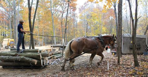 Wise Outdoor Adventures Amish Sawmill In Operation Wellington Ohio