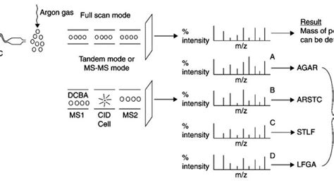 Creative Proteomics Blog