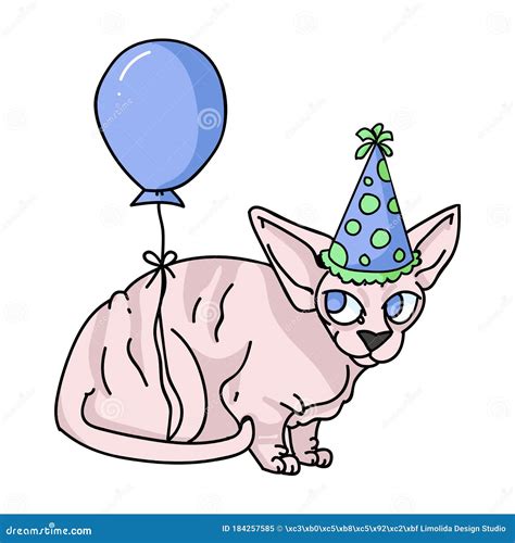 Exotic Cat Breed Infographics Stock Photo | CartoonDealer.com #76705230