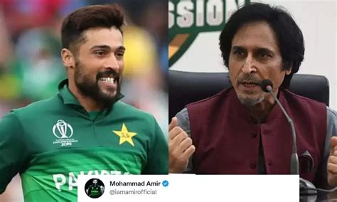 T20 World Cup 2022 Mohammad Amir Slammed Pcb Chairman Ramiz Raja And