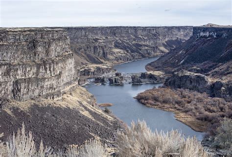 Quagga Mussels Pocatello Chubbuck Observer