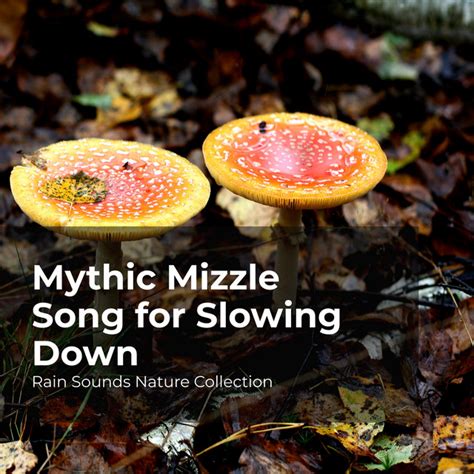 Mythic Mizzle Song For Slowing Down Album By Rain Sounds Nature