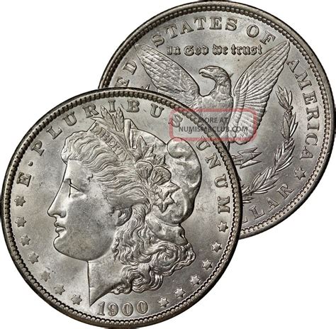 Morgan Dollar Silver Coin State Brilliant Uncirculated