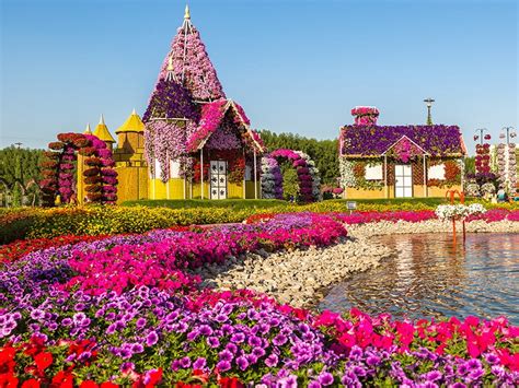 Парк цветов в Дубае «Miracle Garden»: цена билета 2025, как добраться ...