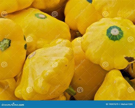 Yellow Squash Stock Image Image Of Food Yellow Close 19597679