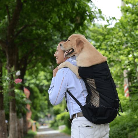 Sac Dos Pour Grand Chien