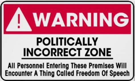 Political Incorrectness Huffpost